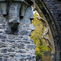 Photo de belgique - L'abbaye de Villers-la-Ville